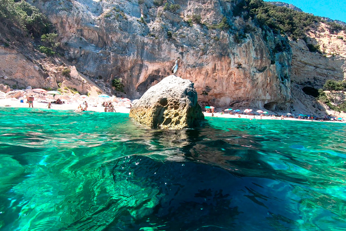 Sea tour from the harbor of Cala Gonone to the beach of Cala Goloritzè
