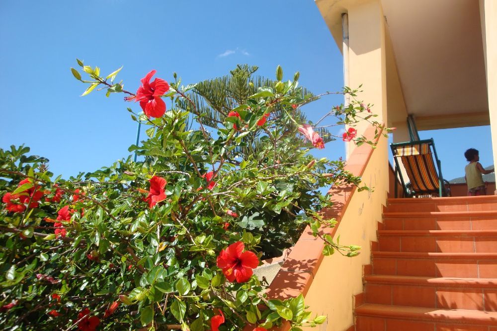Casa Osala 1