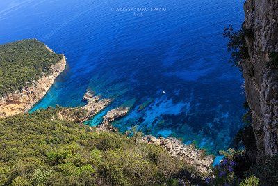Cala Gonone Escursioni