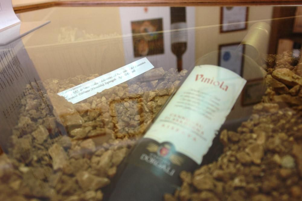 Cantina Sociale Dorgali 2