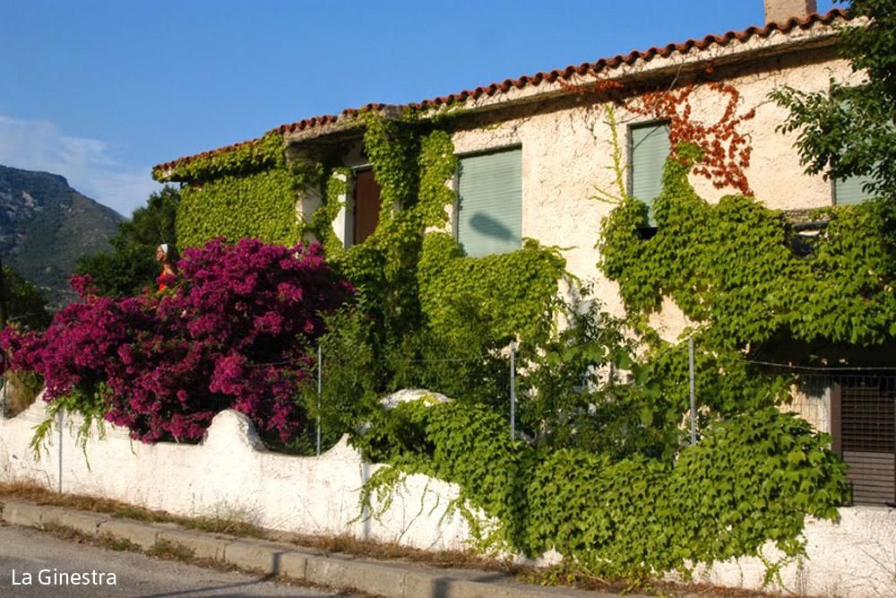 Casa Vacanze La Ginestra 1